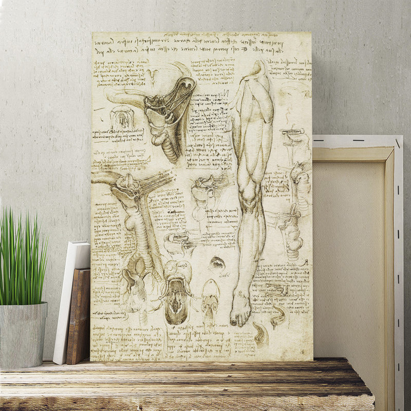 Leonardo Da Vinci - Wrapped Canvas, 76cm H x 50cm W