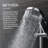 Aio Flood Handheld Shower Head 2.5 GPM GPM
