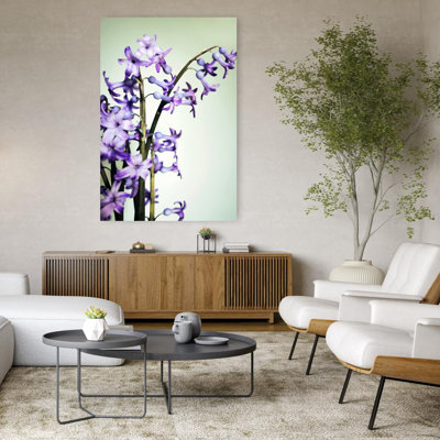 Art contemporain, art mural de nature jacinthe