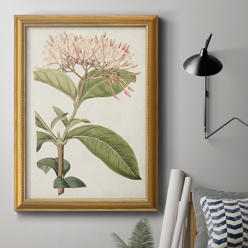 Toile encadrée de qualité supérieure Antique Botanical Collection VI - prête à être accrochée, L 18 po x H 27 po