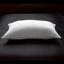 Goose down Pillow-141618298