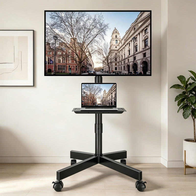 Electronic Mount