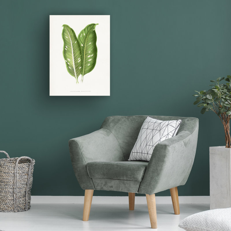 Art sur toile, bolologien, Les Plantes, vert, H 19 po x l 14 po