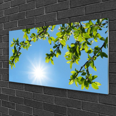Nature Sun - No Frame Print on Glass