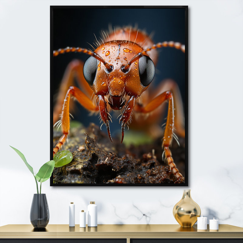 «Ant Delicate Explorer IV», reproduction sur toile, H 44 po x l 34 po x P 1,5 po, Cadre flottant noir