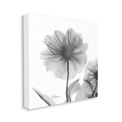 " Opaque Dahlia Flower Minimal Black White Silhouette " by Albert Koetsier