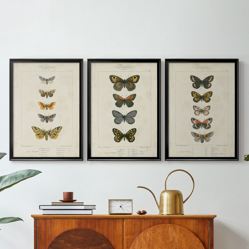 «Mauve Butterflies IV» - Toile tendue avec châssis sur mesure - 3 pièces, Noir, H 21 po x l 30 po