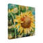 Toile d'extérieur Barnes Annelein Beukenkamp «Sunflower Centered»-87944964