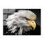 Boze Wall Decor