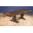 Tilton 72" Extendable Solid Wood Dining Table