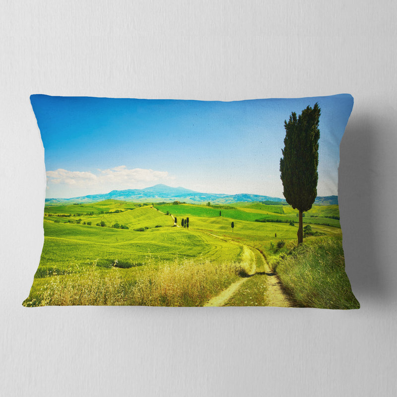 Réversible, Rectangle H 12 po x l 20 po, Coussin lombaire