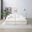 Oversized Sectional Double Lounge Chaise with Cloud Plush Sofa Bed, No Assembly Required, Fluffy Modern Sleeper Loveseat Chair for Indoor Living Room Bedroom Reading-339036544-339036546