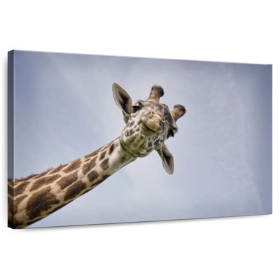 Brampt Giraffe Face
