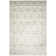 Setser Garden Viscose Oriental Rug in Beige/Gray