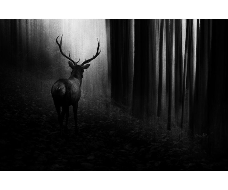 Wrapped Canvas Print, 50.8 cm H x 76.2 cm W