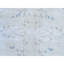 Tapis persan ivoire semi-antique vieilli 9 pi 6 po x 12 pi 6 po Kerman