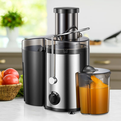 Juicer Machines, 3" Wide Mouth Juicer Extractor Max Power 800W, for Vegetable and Fruit with 3-Speed Setting, 500W Motor, Easy to Clean