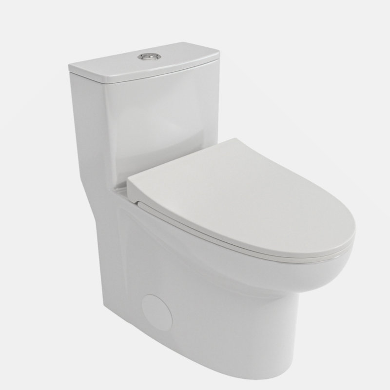 Ceramic One Piece Toilet,Dual Flush With Soft Clsoing Seat