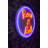 Flexible LED Neon Strip Light, 16.4 ft, IP67 Waterproof, 200 Lumens, 4000K, PVC Foam Template, On/Off Switch, Type C Plug, Energy Efficient 8W-10W/m | Perfect for Home Decor, Parties & Events, Easy Installation
