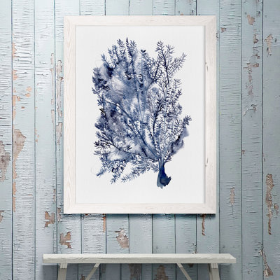 " Seaweed Under Water II "