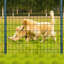 50ft Garden Wire Mesh, 15.2m PVC-Coated Welded Wire Fencing for Garden and Poultry Enclosures-130418084
