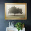 Arbres dans le brouillard II-95885252-95885253
