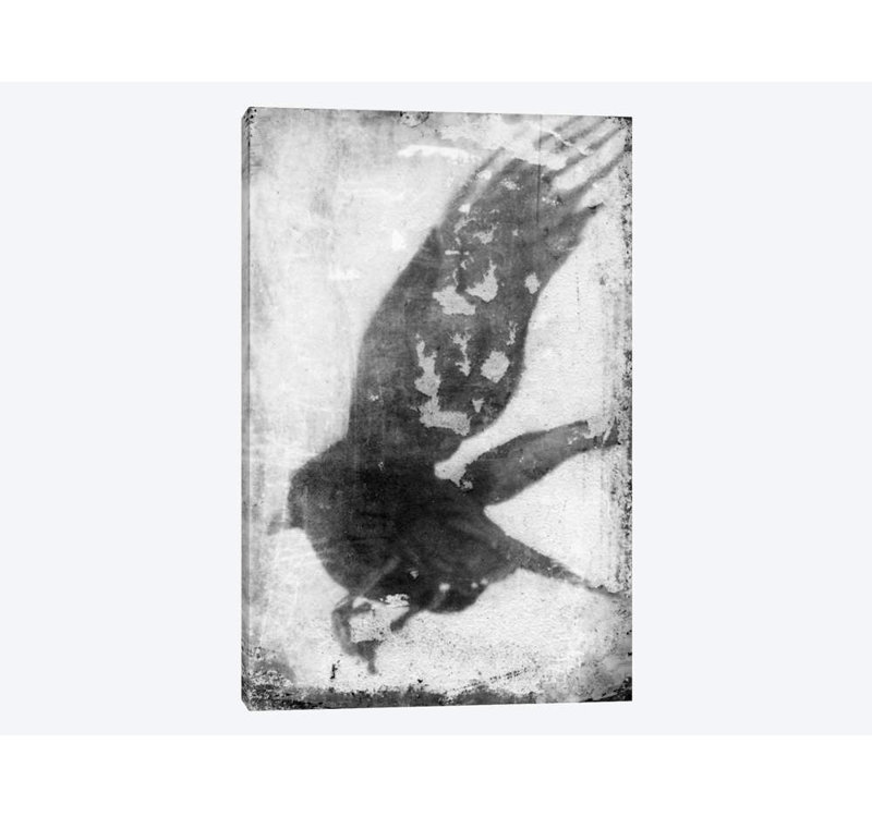 «B&W Flight IV», reproduction sur toile, H 12 po x l 8 po x P 0,75 po, Toile tendue, Pas de tapis