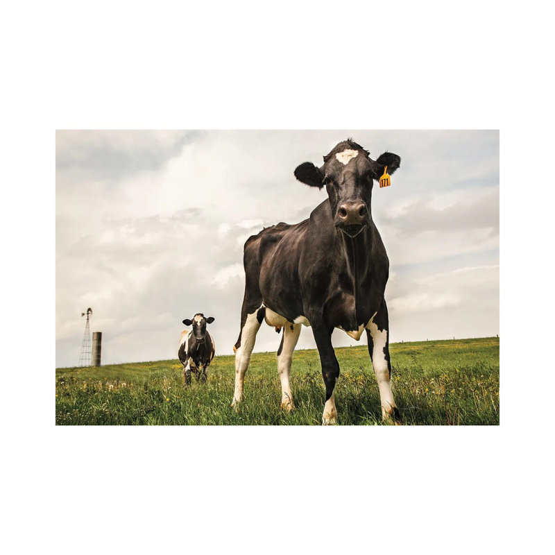 Waiting Colour 1 Piece Wrapped Canvas Wall Art, 66.04 cm H x 45.72 cm W x 3.175 cm D