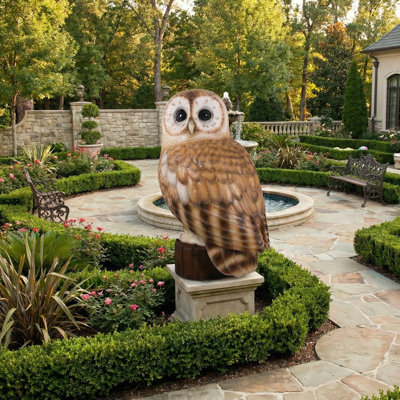 Hibou fauve Graig