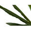 110cm Faux Flowering Plant in Pot