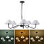 5 - Light Matte Black Chandelier Pendant