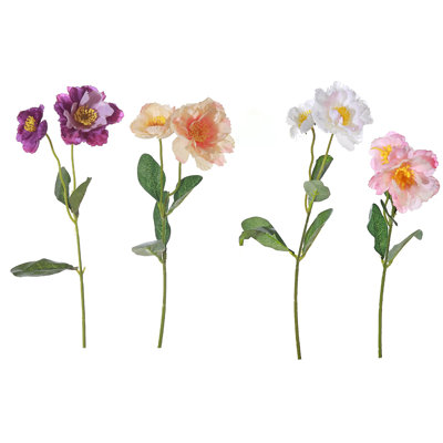 Cueilleur de fleurs du vent - ensemble de 4