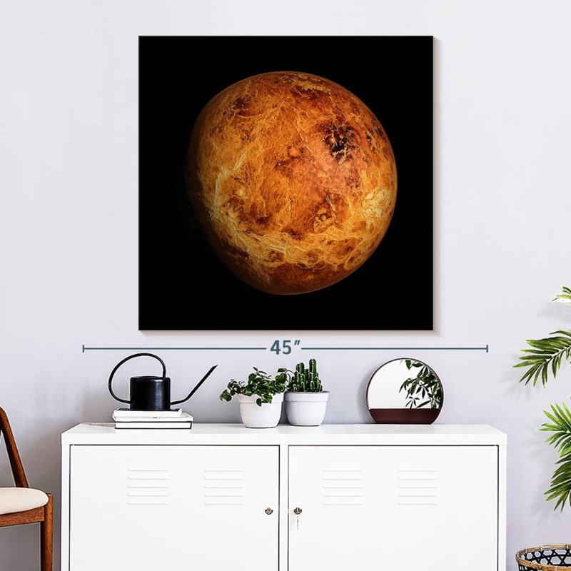Oberle Venus Close Up, 33" H x 33" W