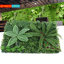 12 pièces plantes vivantes artificielles murales