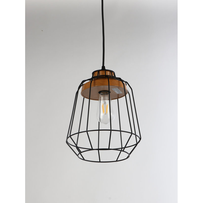 Danilo 1 - Light Single Pendant