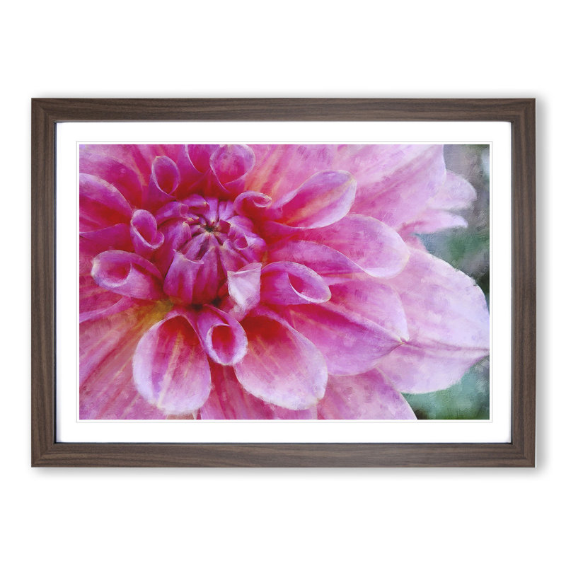 Pink Flower in Blossom - Framed Print, 27cm H x 36cm W x 2cm D, Walnut Framed