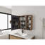 Bathroom Mirror Cabinet with Storage Combination