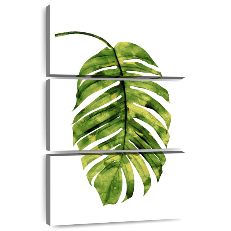 Harnek Green Palm II, H 45 po x l 28 po