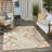 Clemencio Sage Rose Modern Rug-772344299