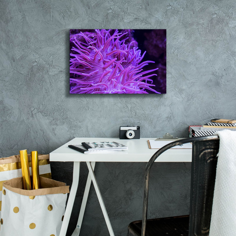 «Striped Long Tentacle Anemone» par Epic Portfolio, art mural sur toile, H 12 po x l 18 po x P 0,75 po