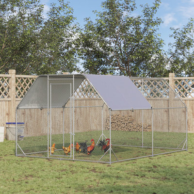 10.64m² Chicken Run For Up To 12 Chickens