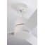 Ceiling Fan with LED Lights-72385297