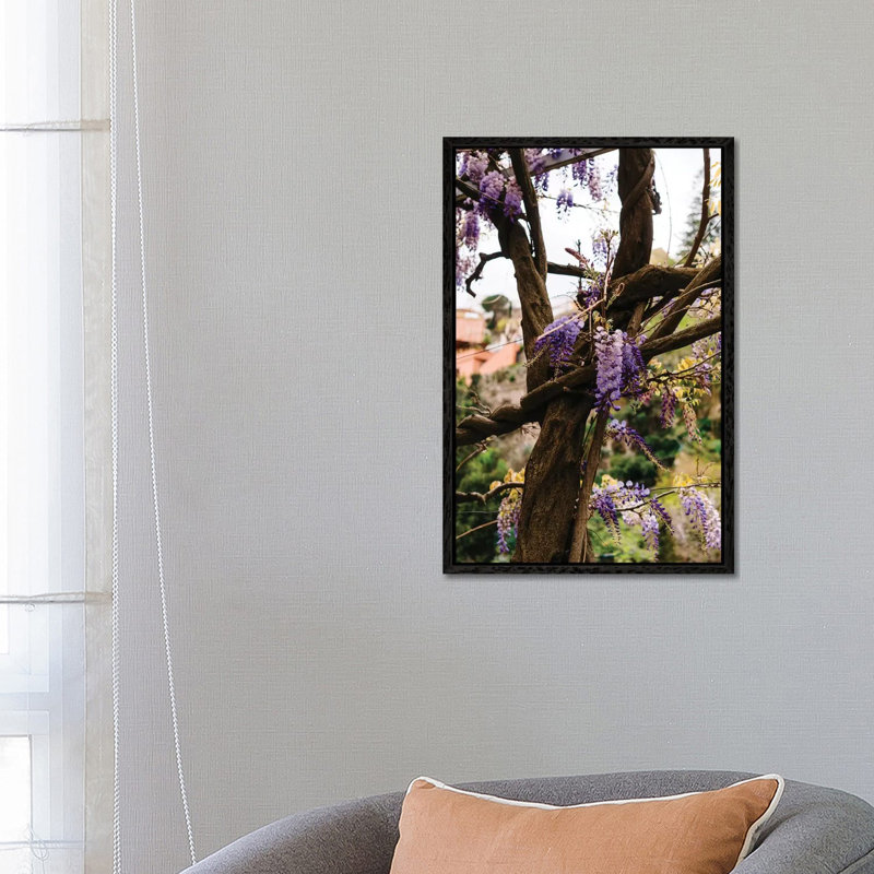 Positano Blooms VI by Bethany Young - Print on Canvas, 66.04cm H x 45.72cm W x 3.81cm D, Black Framed