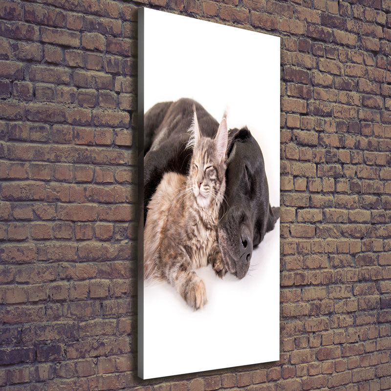 Dog And Cat - Wrapped Canvas Print