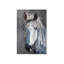 Équitation sur toile grise-354495072-354495076