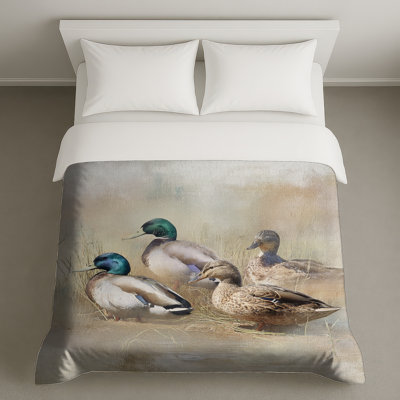 Housses de couette Mallard Ducks In Field