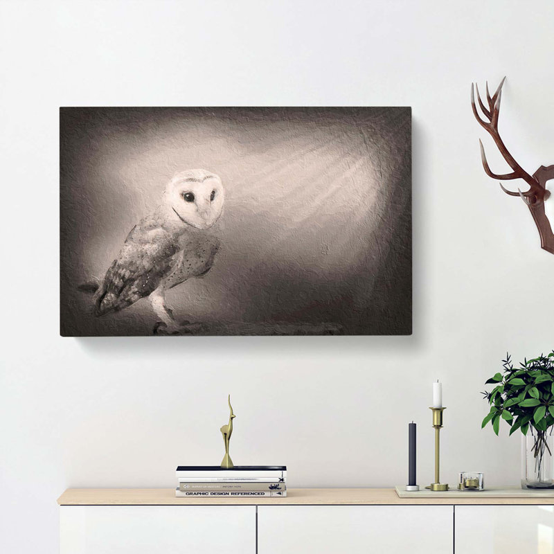 Light Upon The Barn Owl - Wrapped Canvas, 35cm H x 50cm W x 3cm D