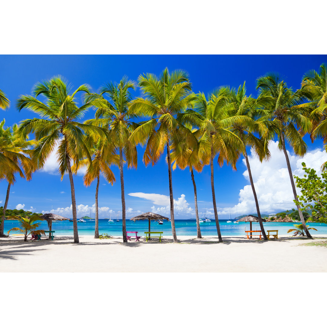 Palm Trees At Honeymoon Beach von Cdwheatley - Leinwand Kunstdrucke