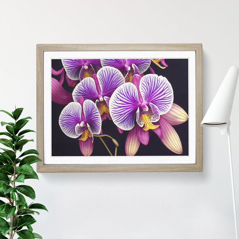 Adventurous Orchid Flowers - Single Picture Frame Print, Oak Framed, 46cm H x 64cm W x 2cm D