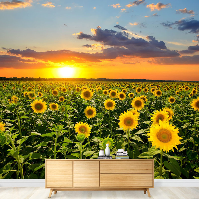 Champ de tournesols sur fond de champ auto-adhésif Sunset, L 66 po x l 96 po